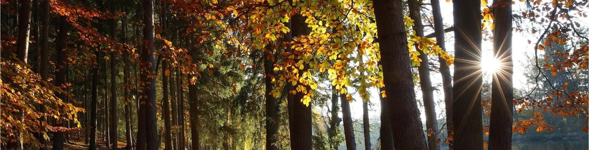 Country Gifts for Him UK