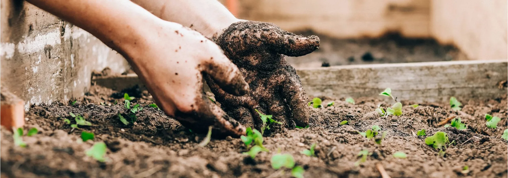 Unique Gifts for Vegetable Gardeners UK