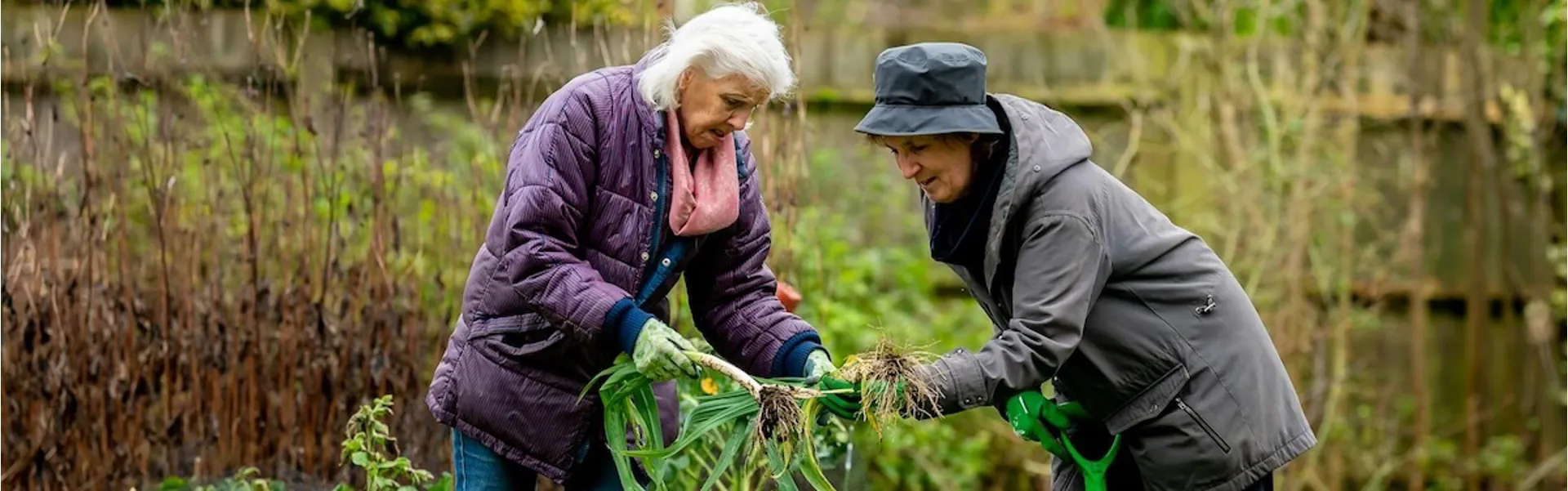 Unusual Gifts for Allotment Owners UK