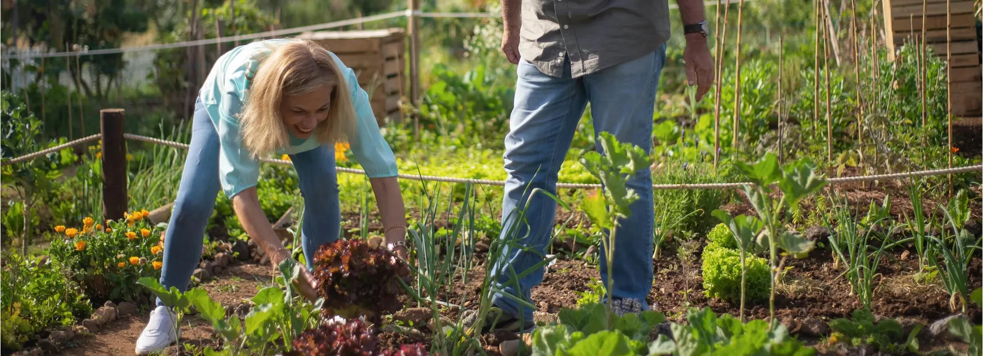 Unusual Gifts for Gardeners UK