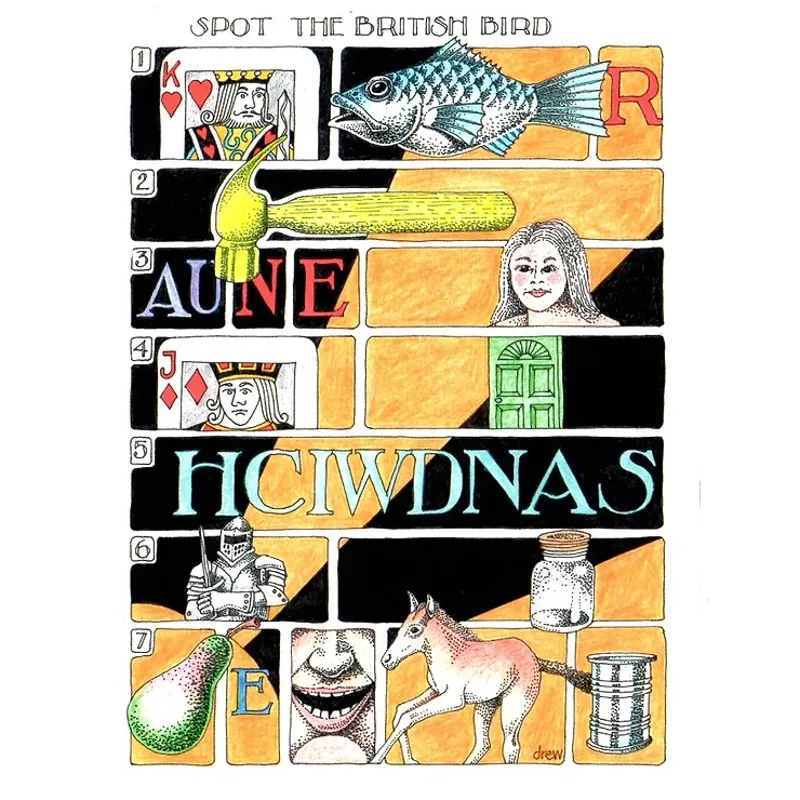 Simon Drew Spot the British Bird Card