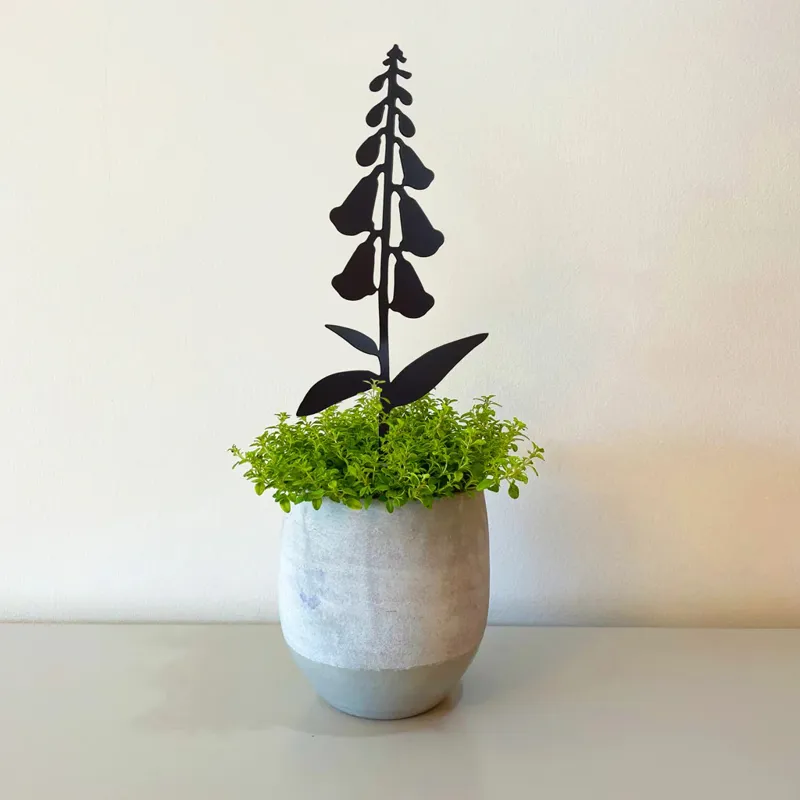 A Blackbird Sang Pot Stem - Foxglove