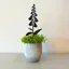 A Blackbird Sang Pot Stem - Foxglove