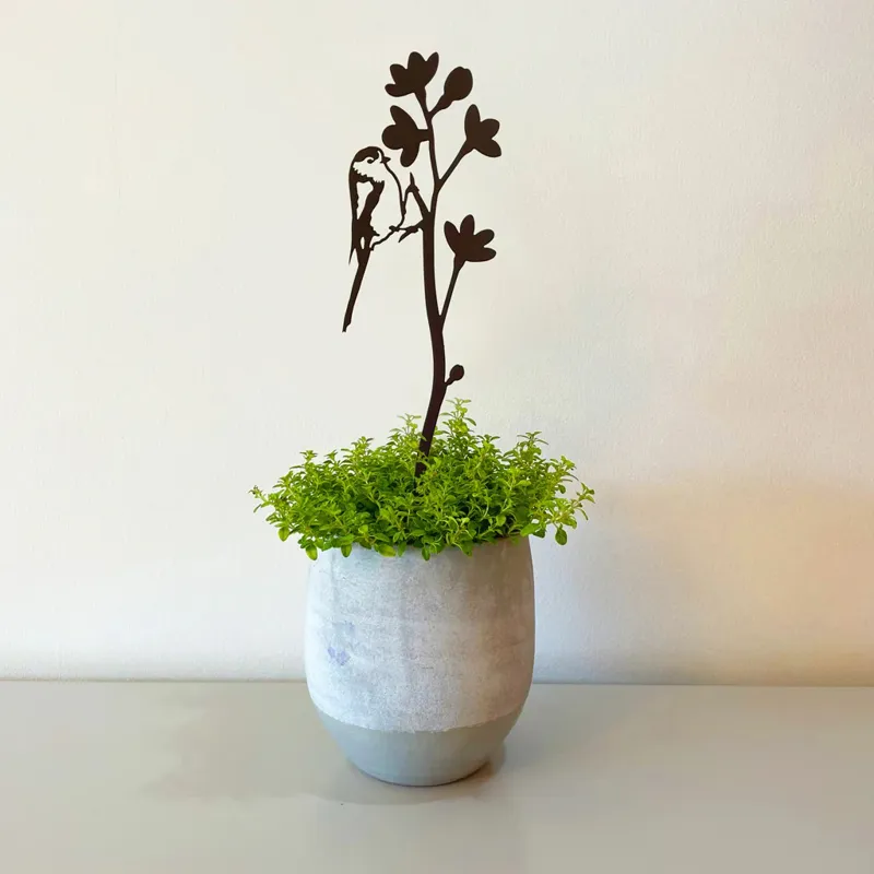 A BlackBird Sang Pot Stem - Long-Tailed Tit-1