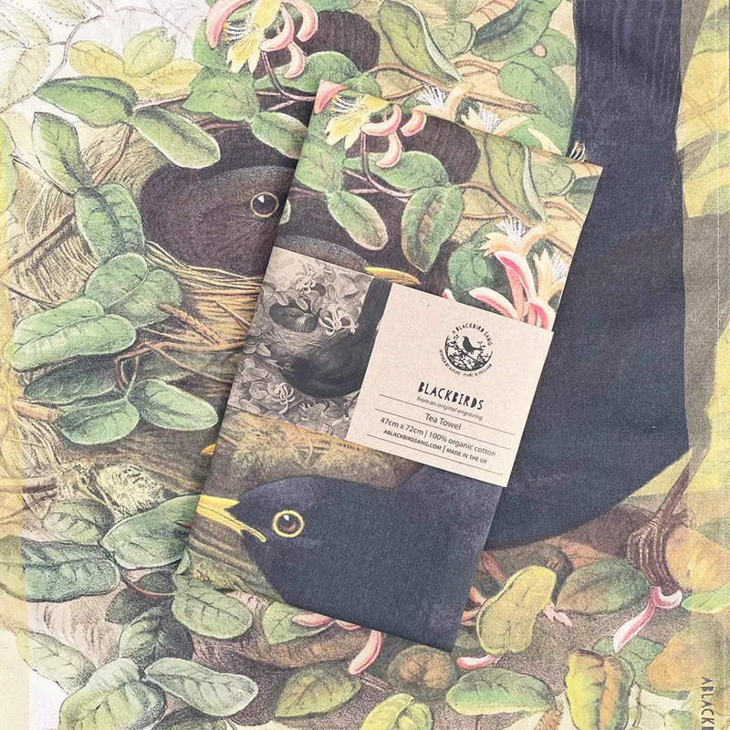 A Blackbird Sang Tea Towel - Blackbirds-1