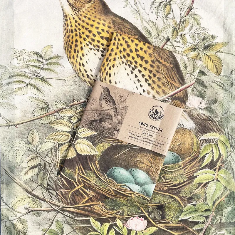 A Blackbird Sang Tea Towel - Song Thrush-1