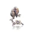 Butler and Peach Lovebirds Bronze Miniature