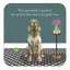 Little Dog Laughed Coaster - Nobody Is Perfect