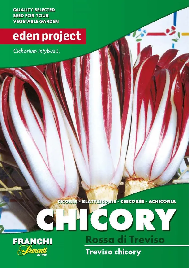 Eden Project Blue Chicory Treviso Seeds