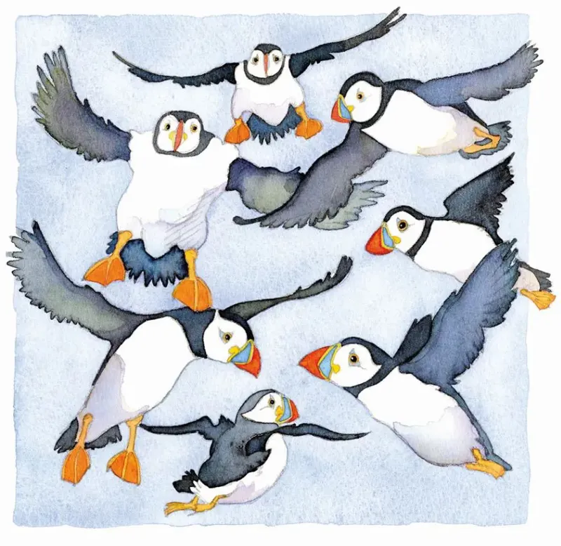 Emma Ball Flying Puffins Fridge Magnet
