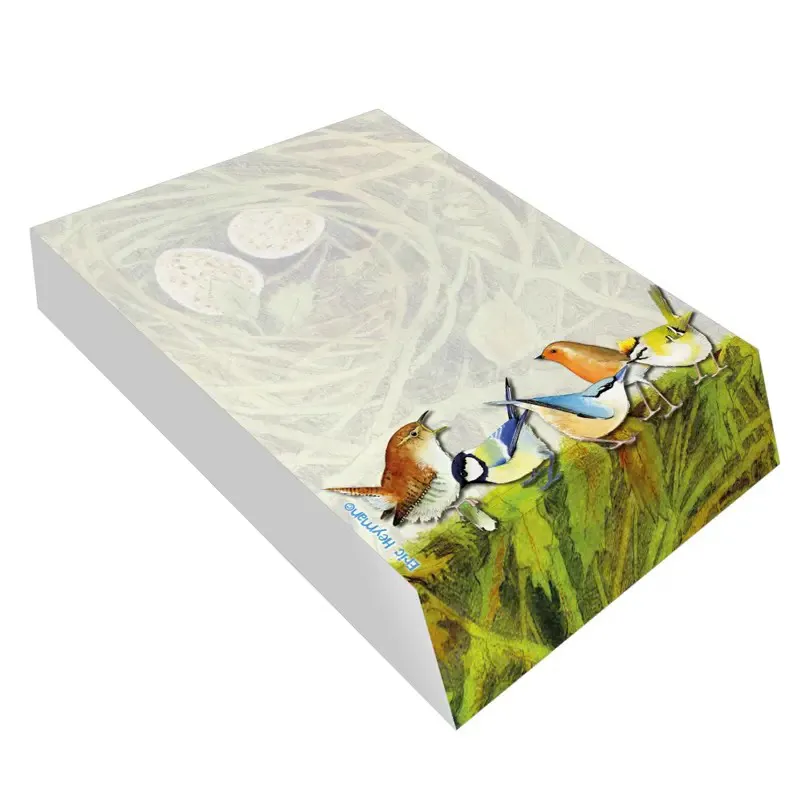 Emma Ball Slanted Pad - British Birds