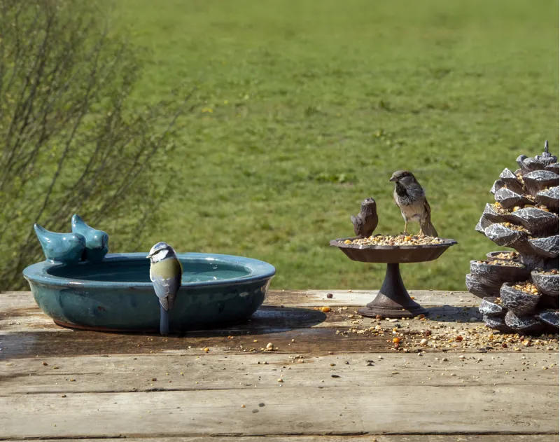 Blue Ceramic Bird Bath-1