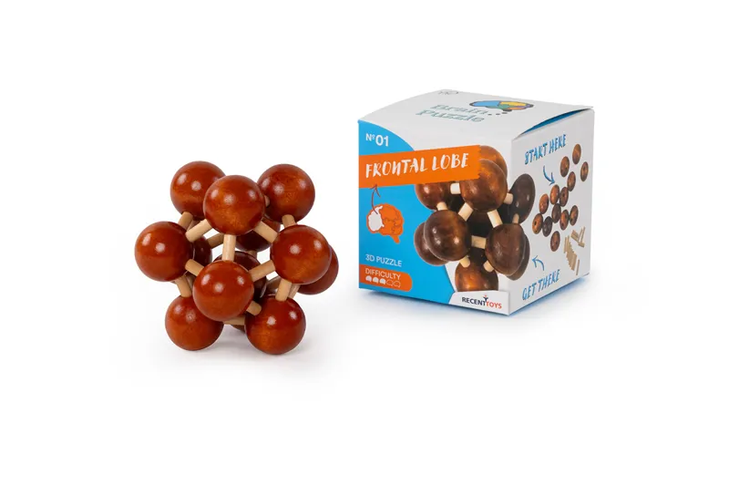 Recent Toys Brain Puzzle No1 - Frontal Lobe