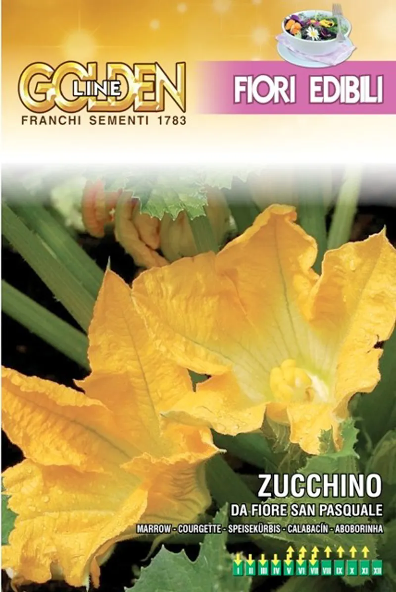 Golden Line Edible Courgette Flowers Seeds