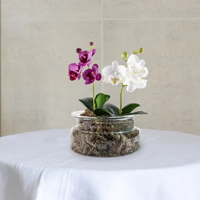 Grand Illusions Botanical Glass Planter-1