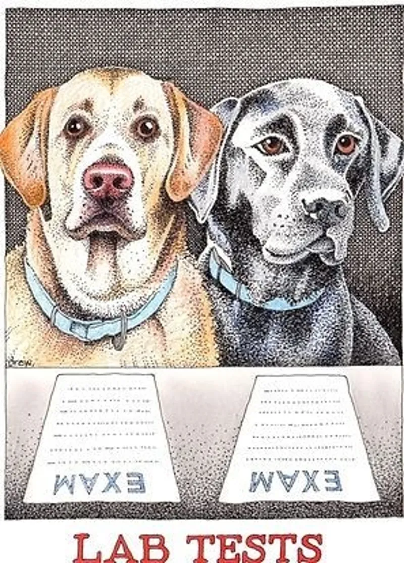 Simon Drew Tea Towel - Lab Tests