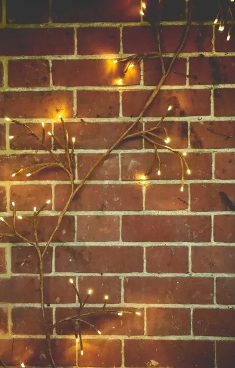 Lightstyle London Ivy Solar Indoor-Outdoor Lights Brown-1