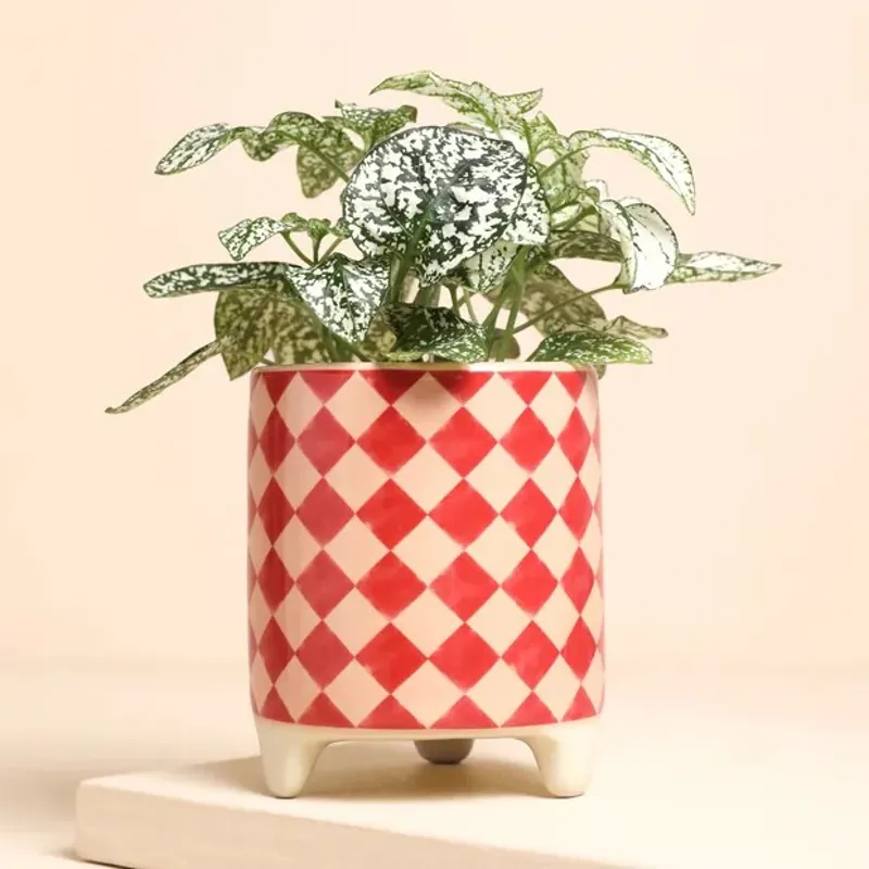Lisa Angel Checkerboard Mini Plant Pot
