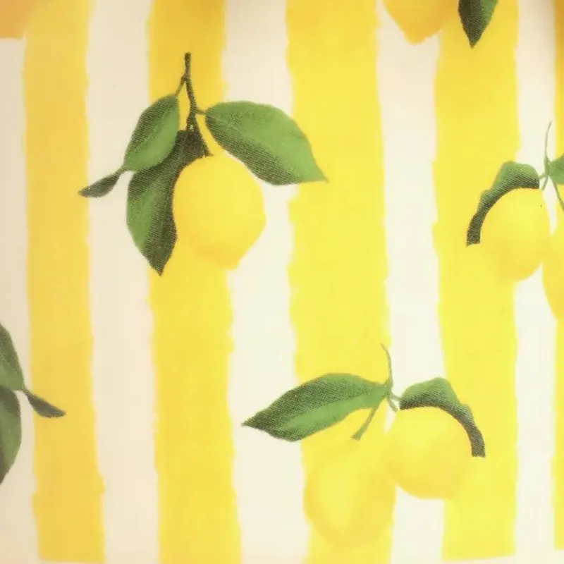 Lisa Angel Yellow Striped Lemons Plant Pot-1