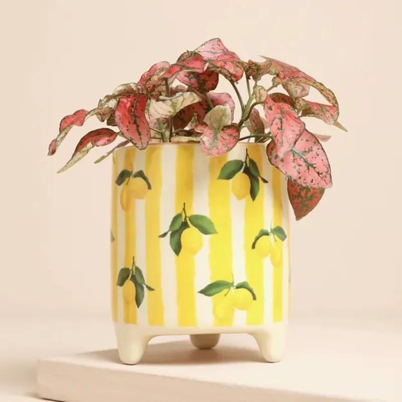 Lisa Angel Yellow Striped Lemons Plant Pot
