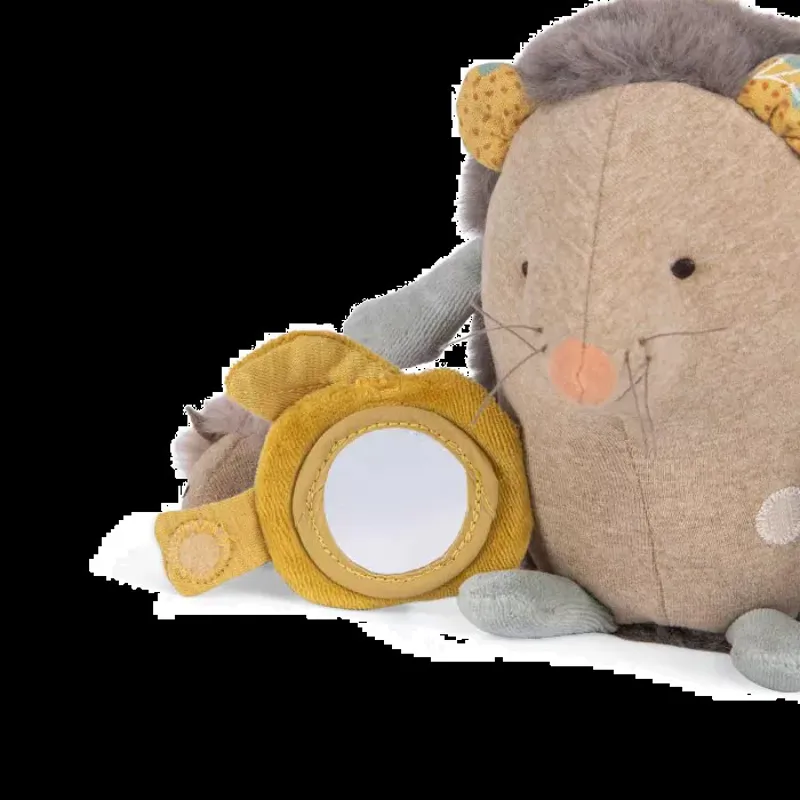 Moulin Roty Activity Hedgehog-1