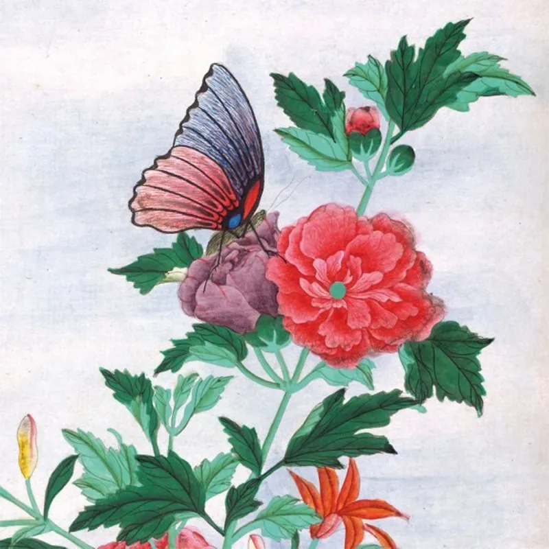 Museums And Galleries Botanical Prints Notecards-3