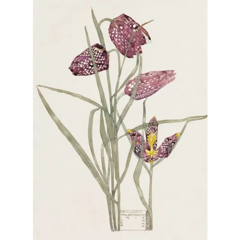 Museums And Galleries Wild Press Notecards-1