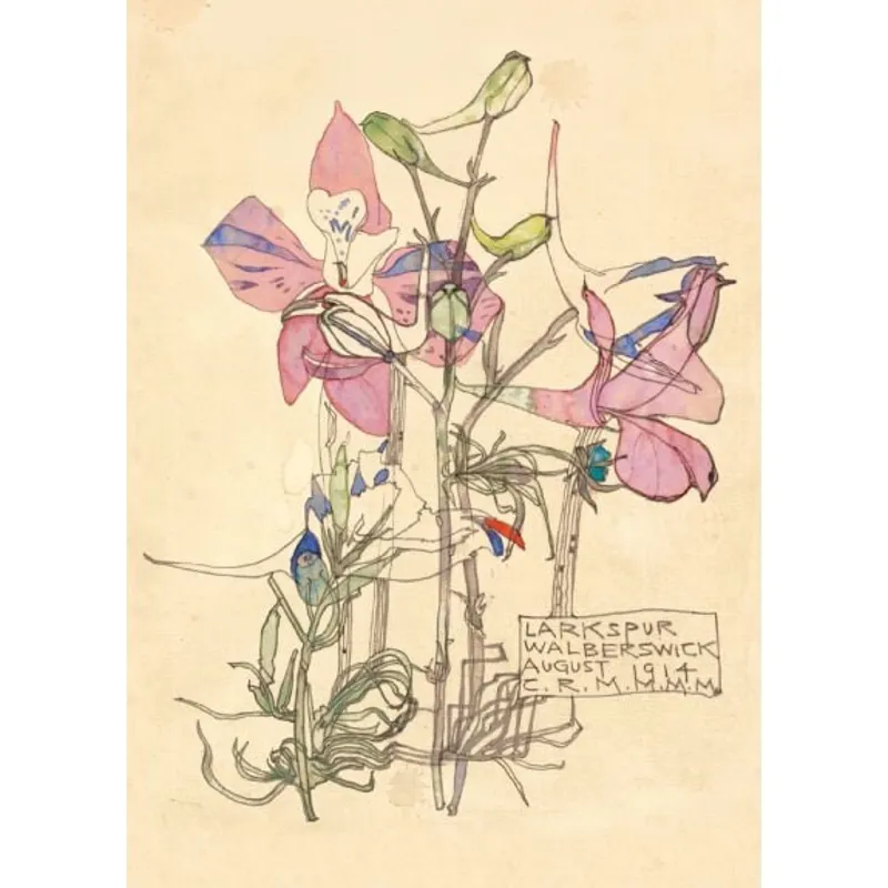 Museums And Galleries Wild Press Notecards-2