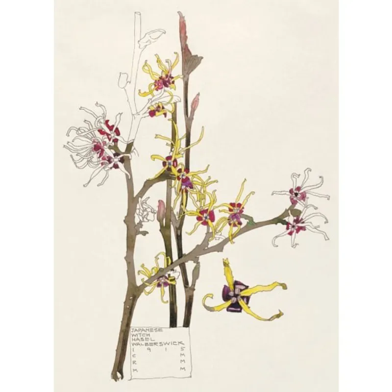 Museums And Galleries Wild Press Notecards-3