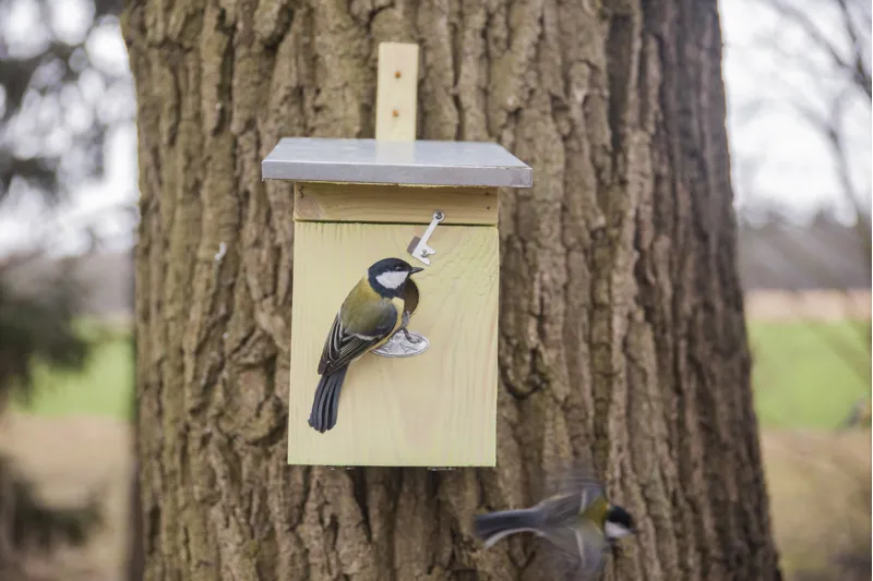 Great Tit Nesting Box-3
