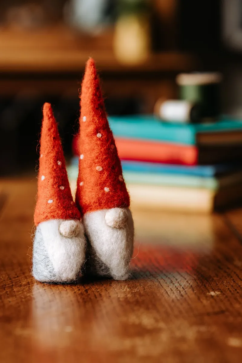 Crafty Kit Company Nordic Gnomes Needle Felting Kit-1