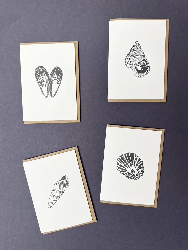 Penguin Ink Seaside Treasures Boxed Notecards-1