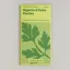 Piccolo PARSLEY Gigante d'Italia
