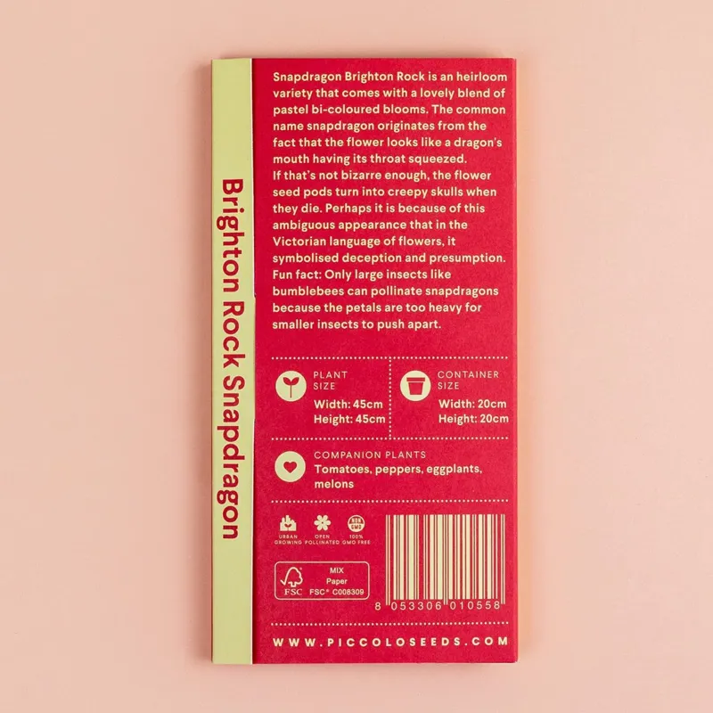 Piccolo SNAPDRAGON Brighton Rock-1