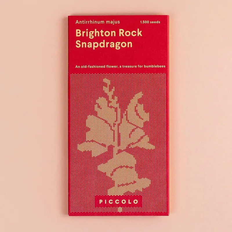 Piccolo SNAPDRAGON Brighton Rock