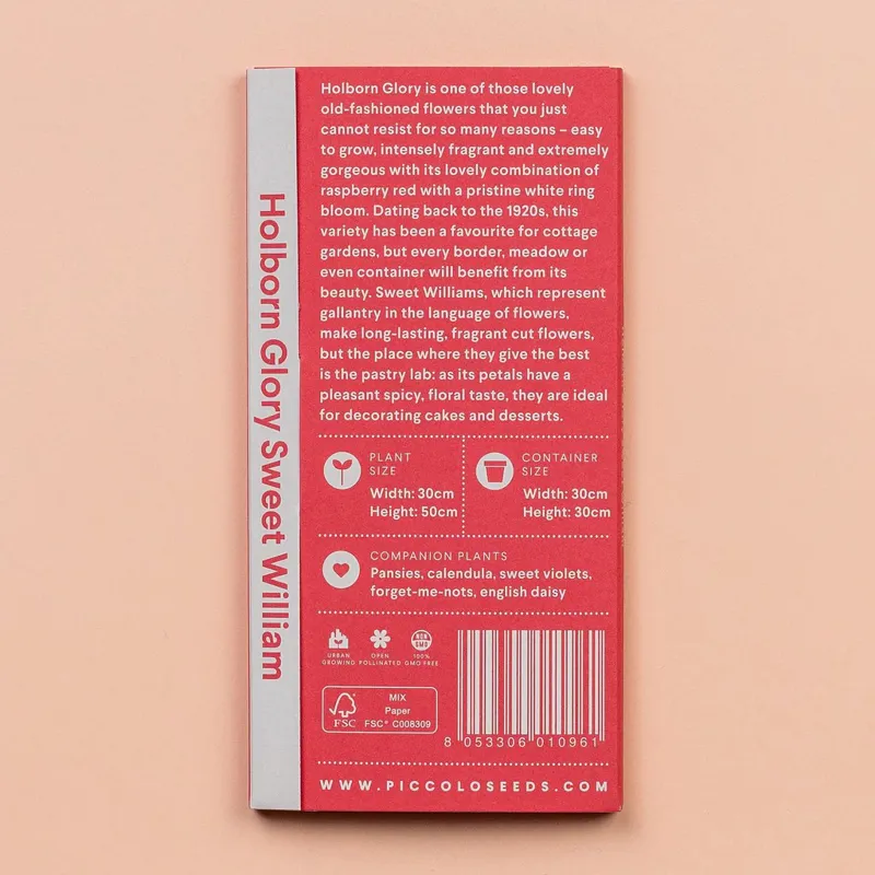 Piccolo SWEET WILLIAM Holborn Glory-1