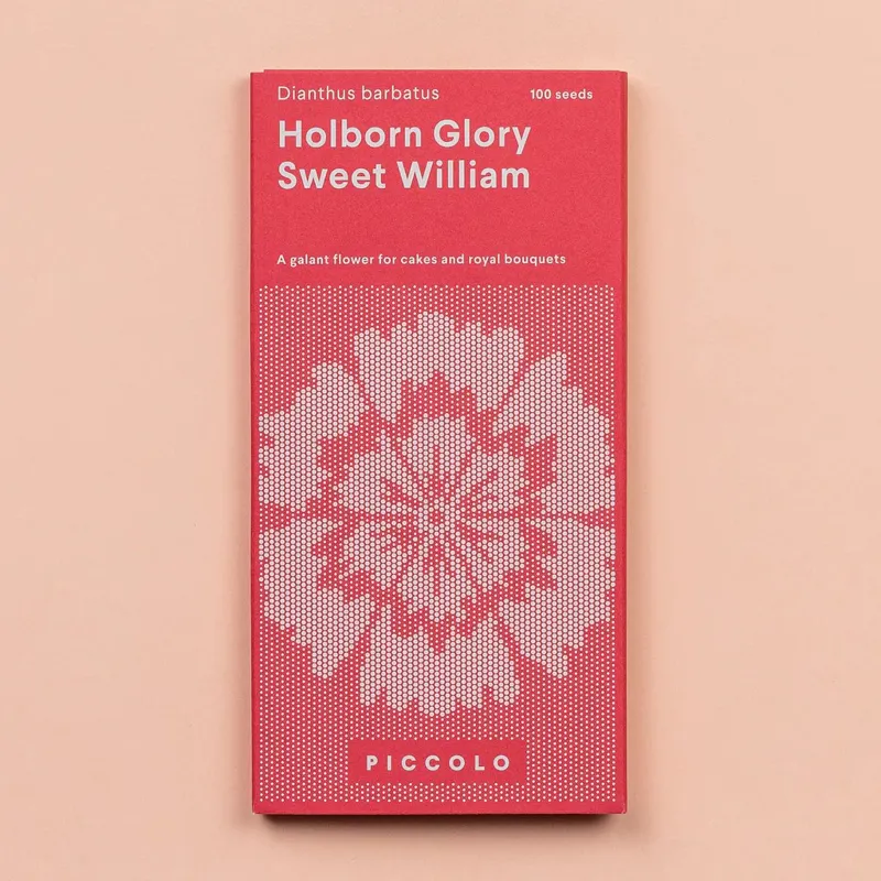 Piccolo SWEET WILLIAM Holborn Glory