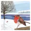 The Art File Robins in Snow Christmas Card Pack