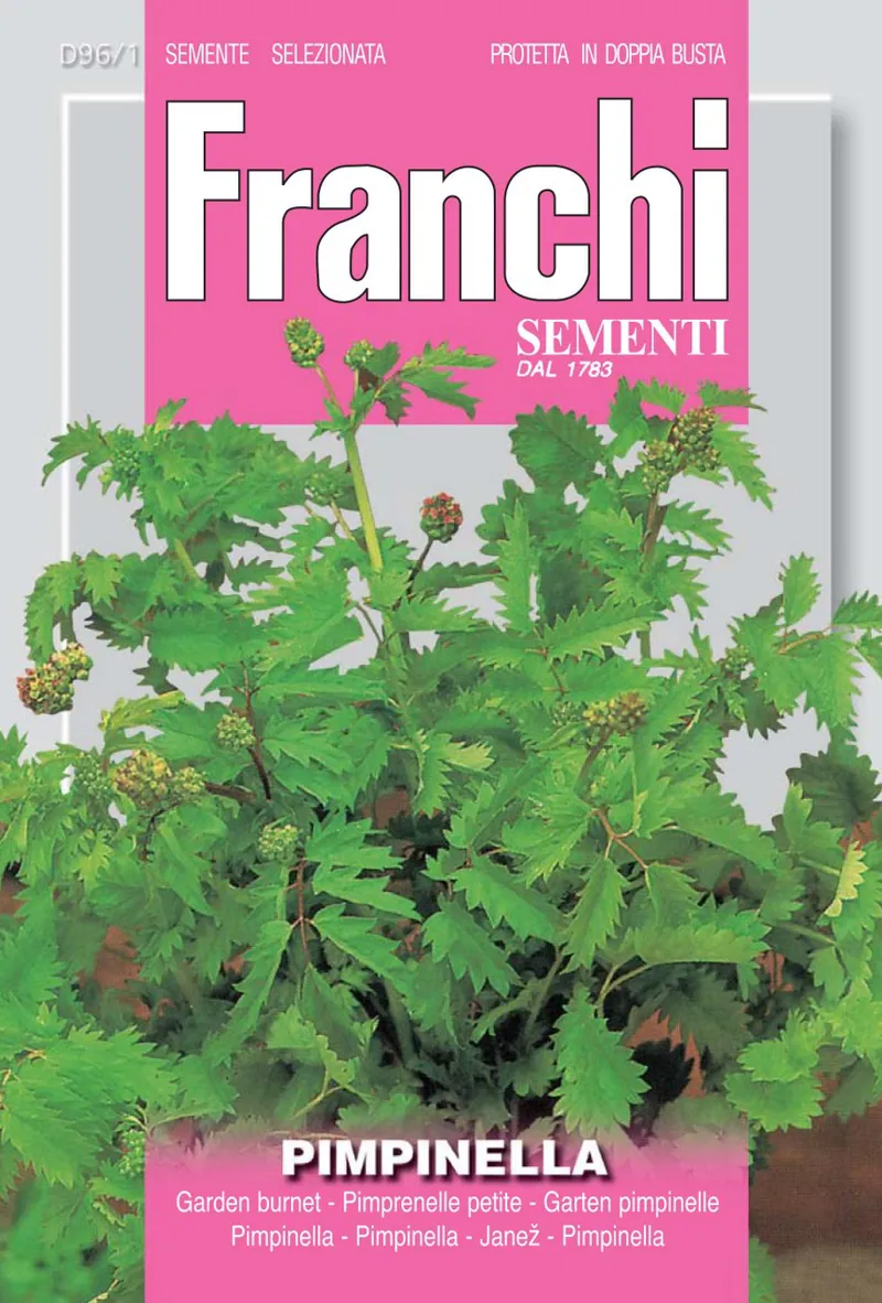 Seeds Of Italy Garden Burnet Seeds