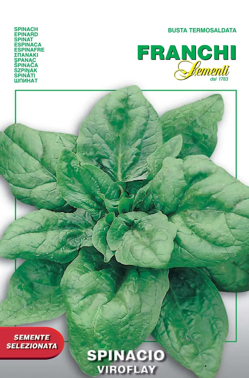Seeds Of Italy Spinach Monstreux De Viroflay Seeds