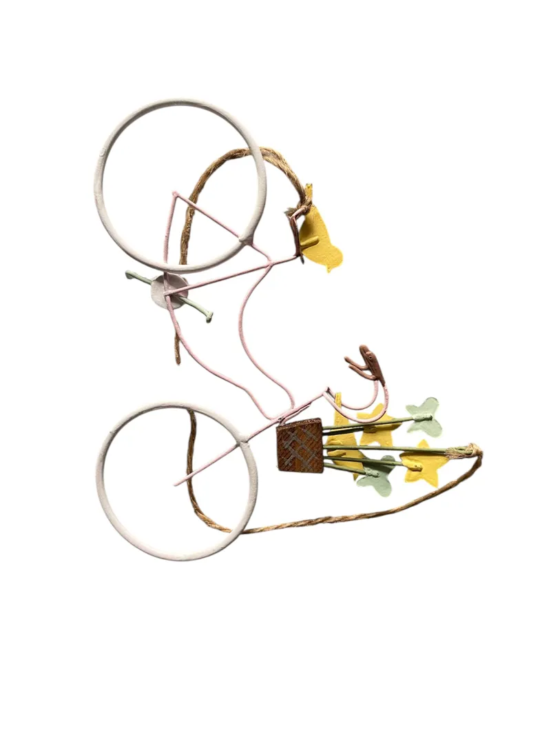 Shoeless Joe Blue Tits on Bike-2