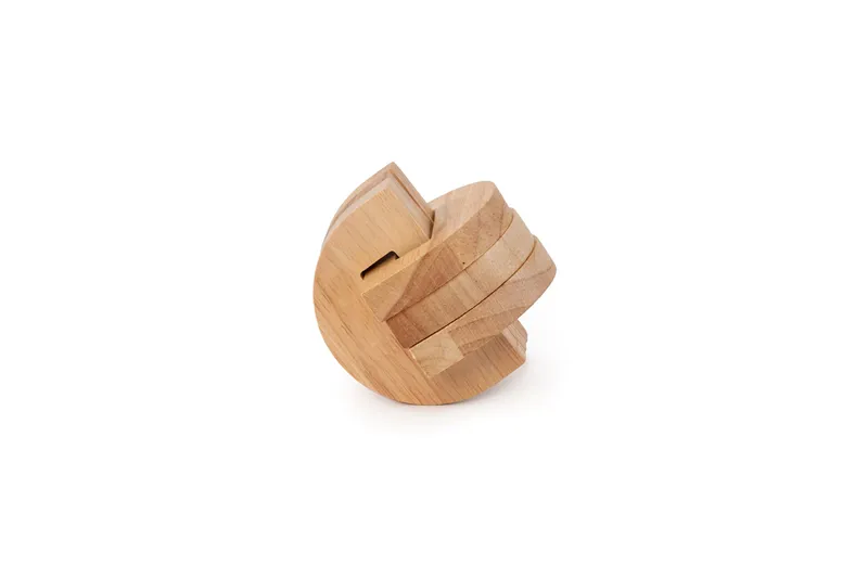 Recent Toys Brain Puzzle No3 - Temporal Lobe-1