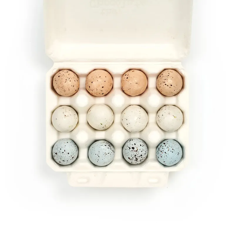 The Chocolate Detective 12 Blue Tit Eggs-2