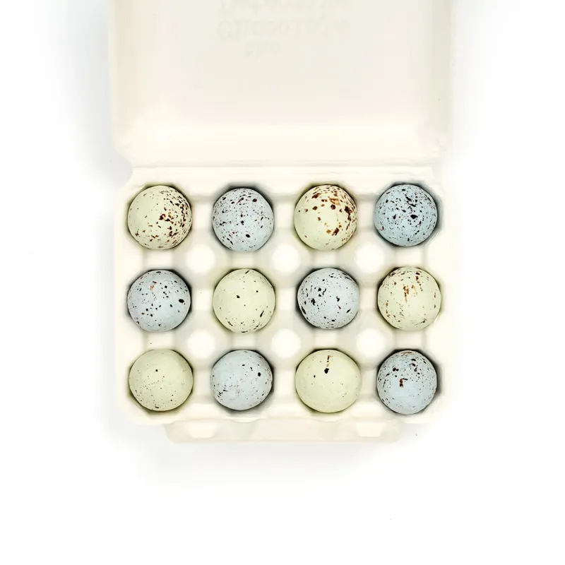 The Chocolate Detective 12 Wren Eggs-1