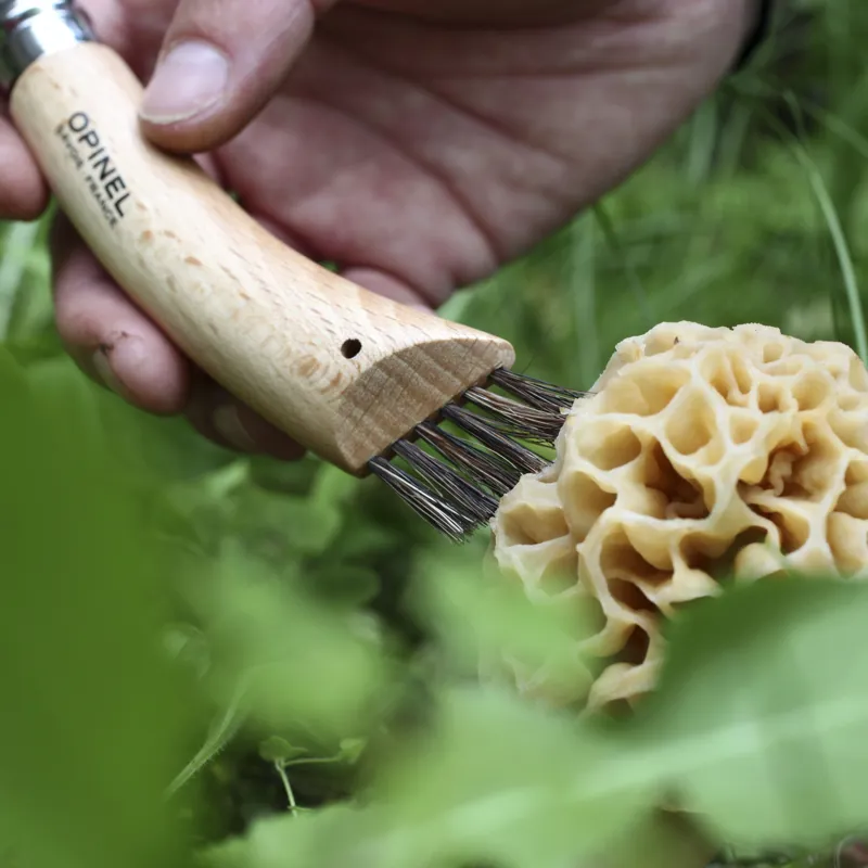 Opinel No.8 Folding Mushroom Knife Gift Box-6