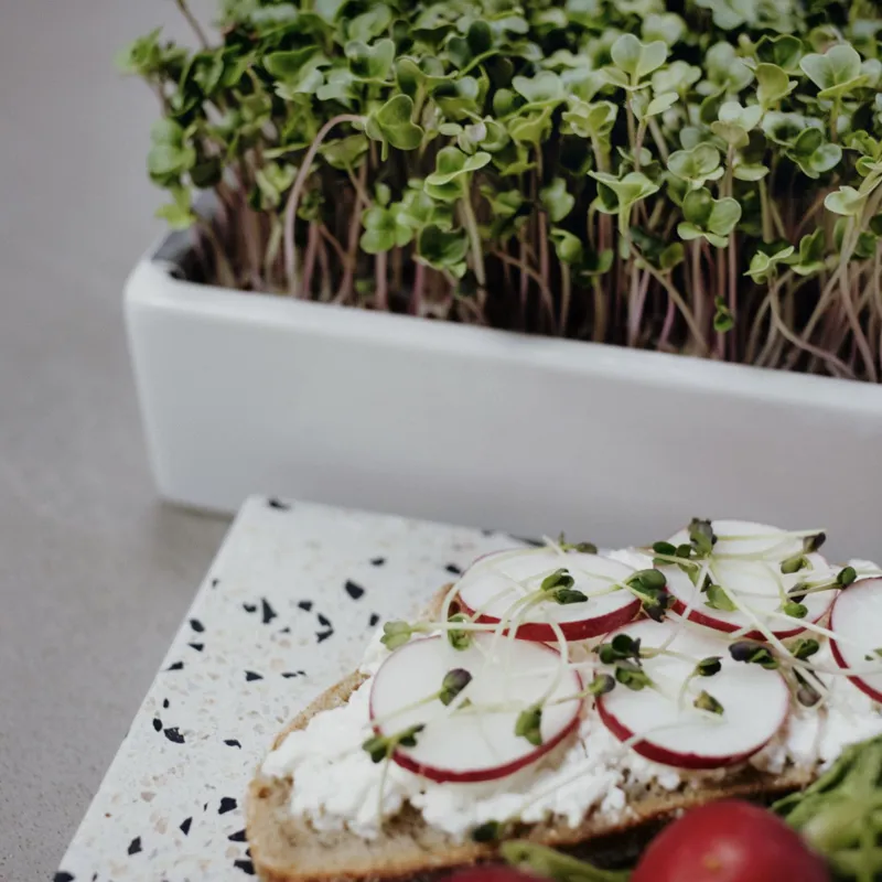 Heimgart Organic Micro Greens Starter Kit-8